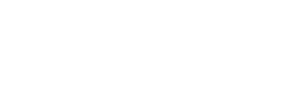 X logo | @LionRecovery