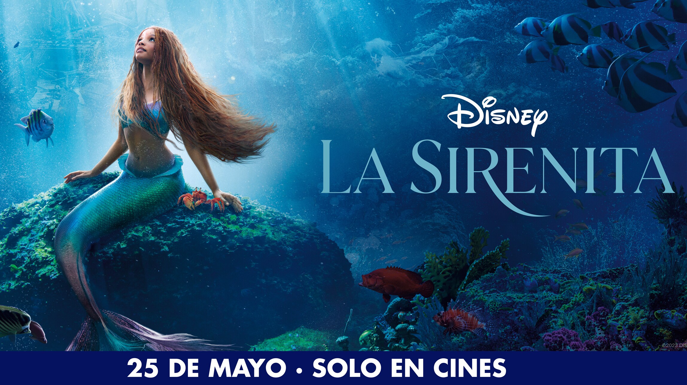 Cinemark-Hoyts y Disney se unen para ofrecer funciones distendidas de 'La Sirenita'