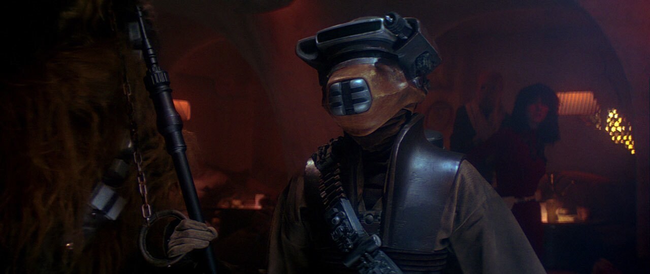 The Boussh Helmet worn by Princess Leia Organa.