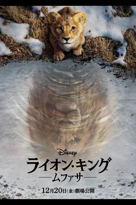 超実写映画『ライオン・キング：ムファサ』｜ディズニー公式