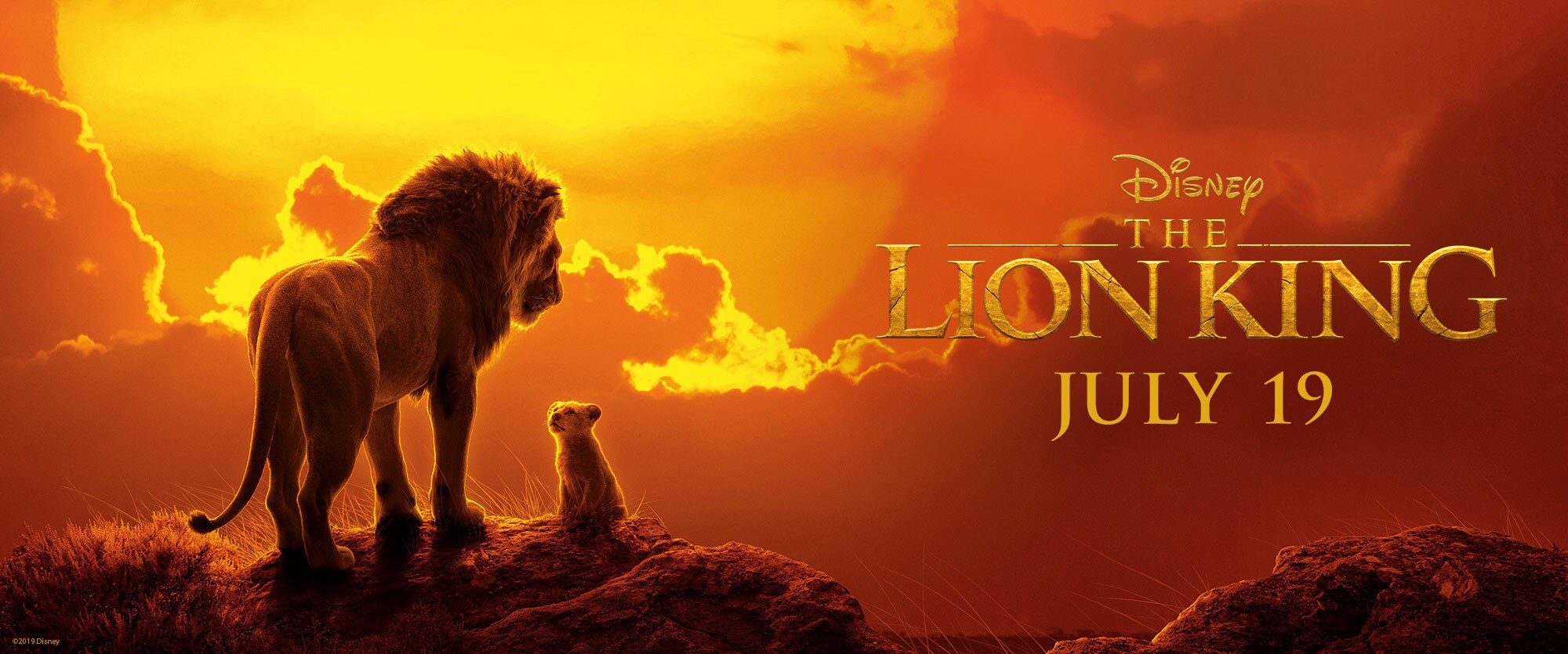 The Lion King_Movie Page_Hero New Banner