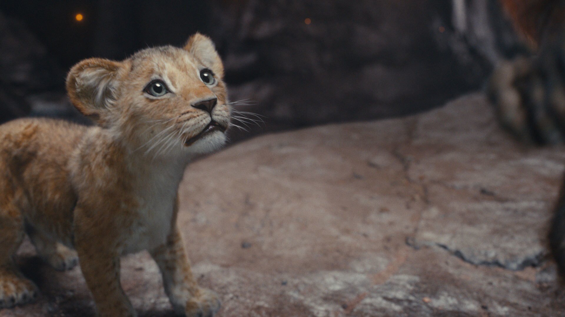 Disney’s MUFASA: THE LION KING. Photo courtesy of Disney. © 2024 Disney Enterprises Inc. All Rights Reserved.