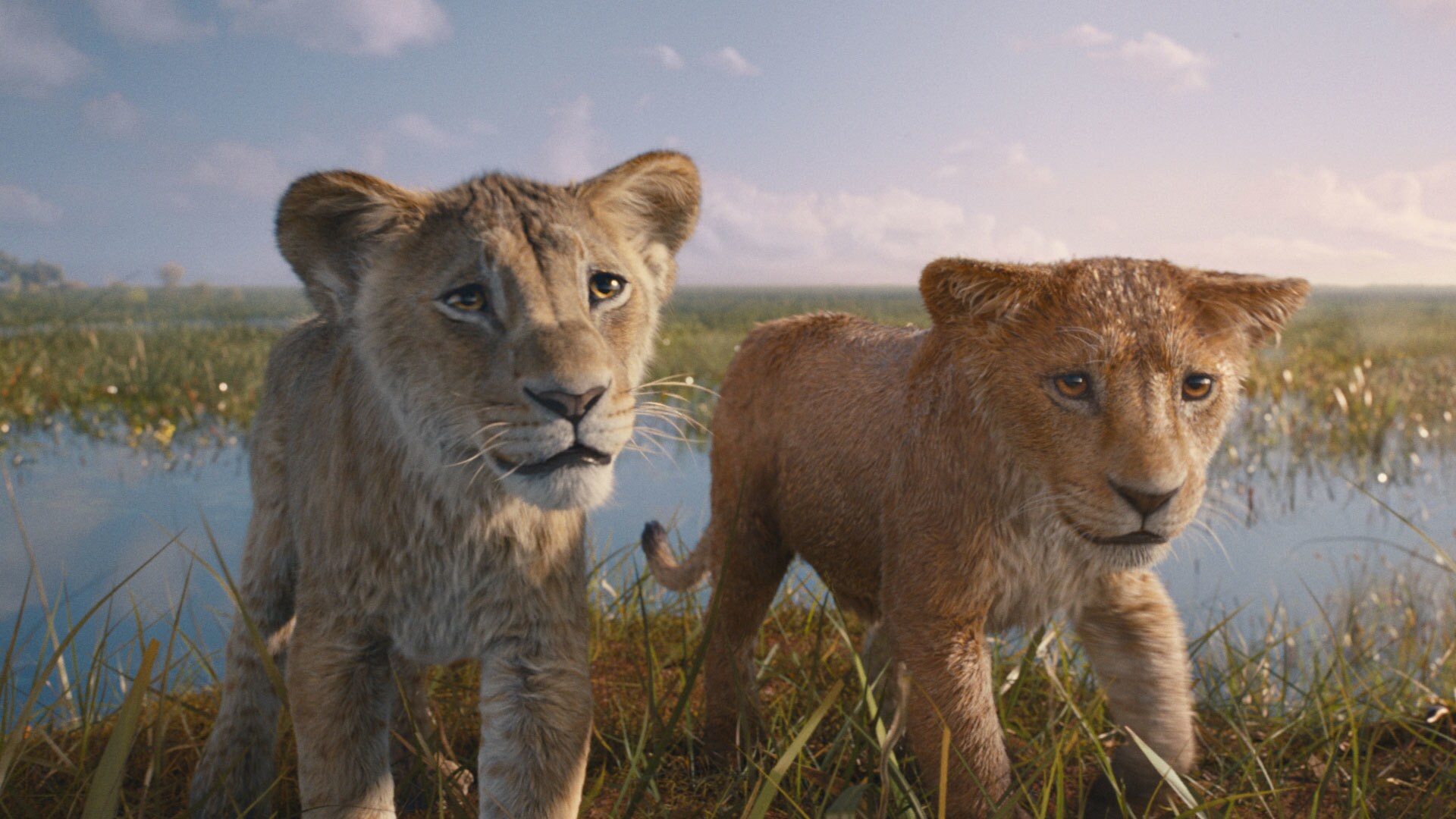 Disney’s MUFASA: THE LION KING. Photo courtesy of Disney. © 2024 Disney Enterprises Inc. All Rights Reserved.