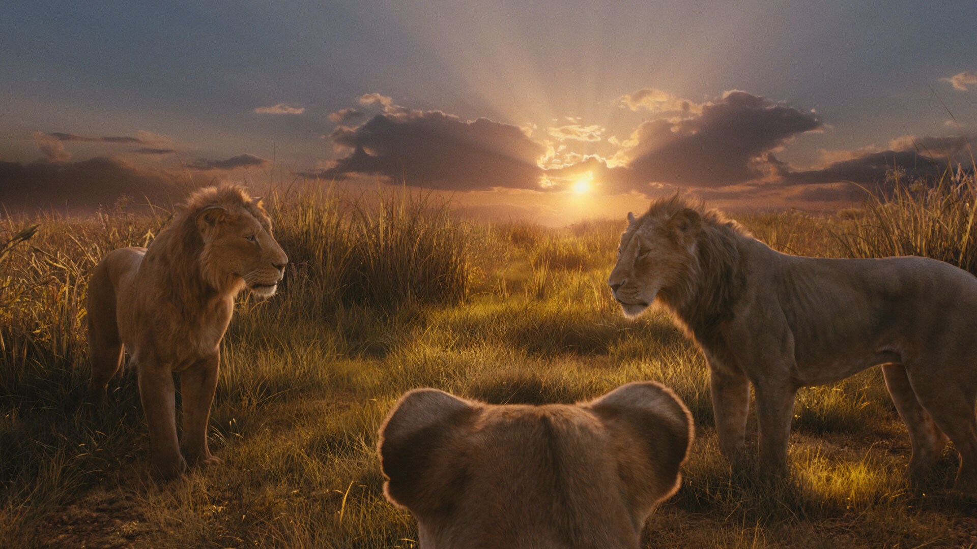 Disney’s MUFASA: THE LION KING. Photo courtesy of Disney. © 2024 Disney Enterprises Inc. All Rights Reserved.