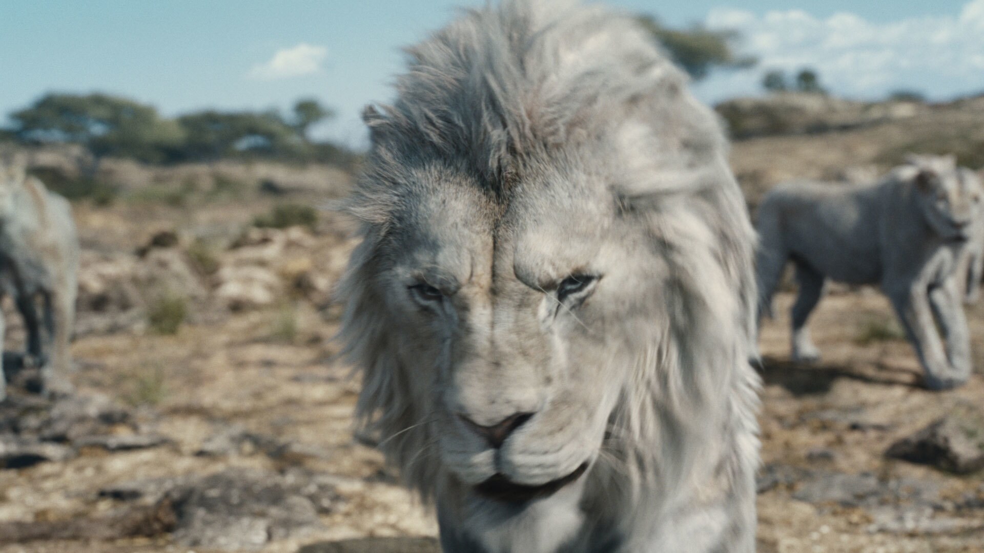 Disney’s MUFASA: THE LION KING. Photo courtesy of Disney. © 2024 Disney Enterprises Inc. All Rights Reserved.