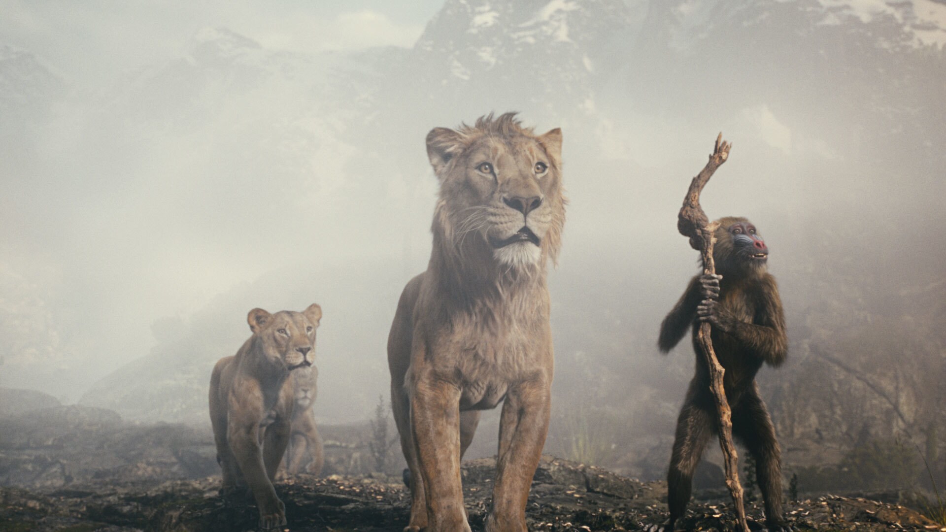 Disney’s MUFASA: THE LION KING. Photo courtesy of Disney. © 2024 Disney Enterprises Inc. All Rights Reserved.