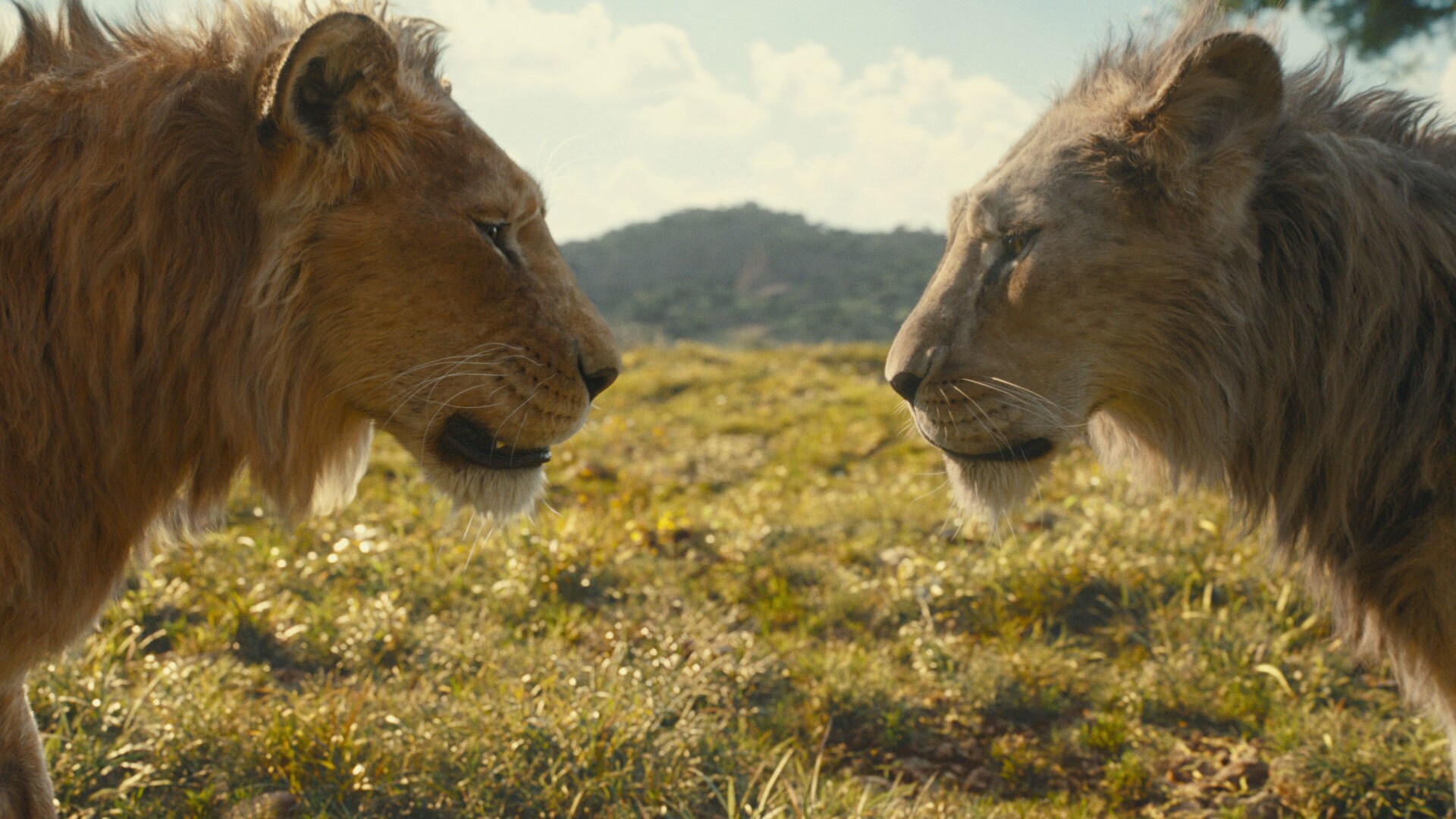 Disney’s MUFASA: THE LION KING. Photo courtesy of Disney. © 2024 Disney Enterprises Inc. All Rights Reserved.