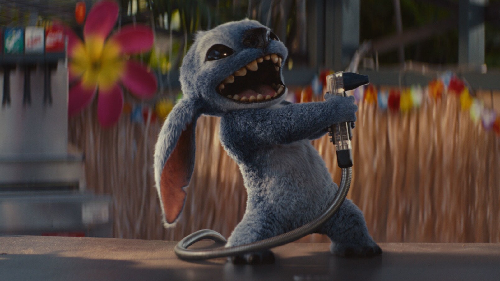 LILO Y STITCH ES LA PELÍCULA MÁS TAQUILLERA DE 2025 CON 2,6M DE ESPECTADORES Y 16,6M DE EUROS DE RECAUDACIÓN EN ESPAÑA.