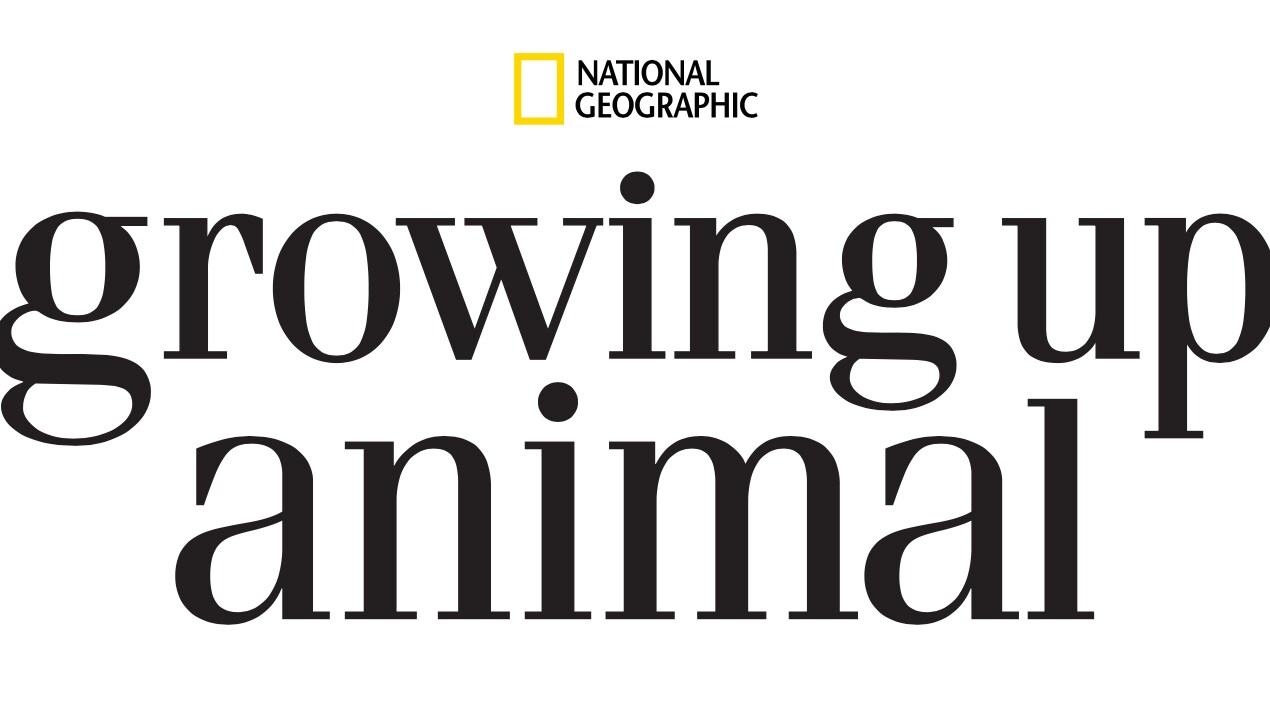 Growing Up Animal Logo