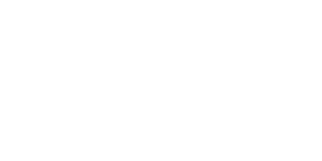 The Lone Ranger (2013)