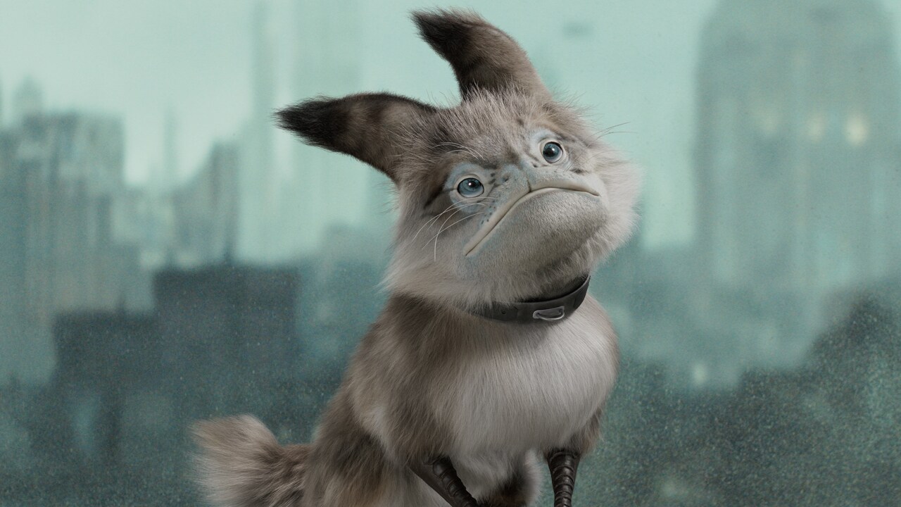 Loth-cat