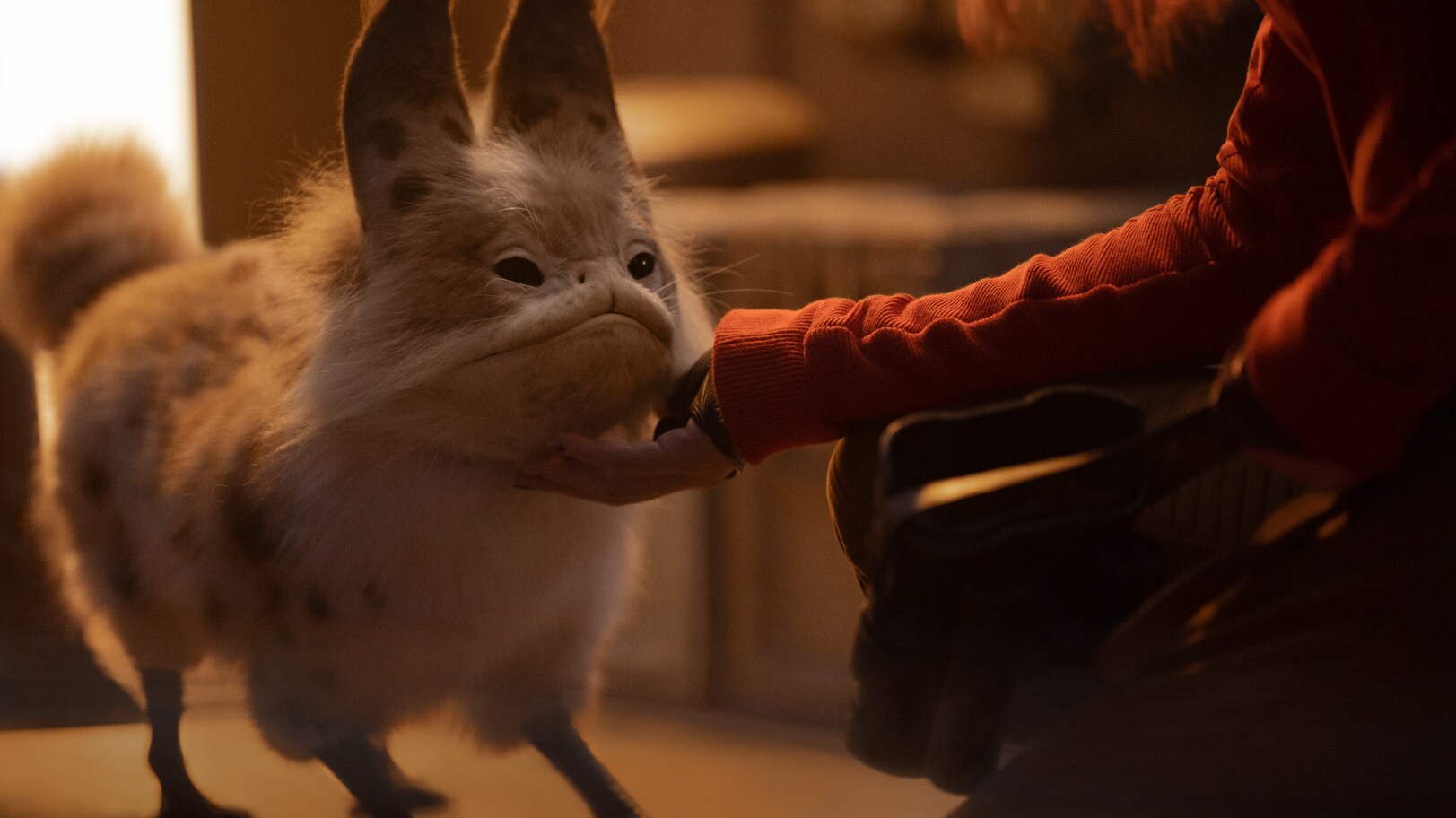 Loth-cat