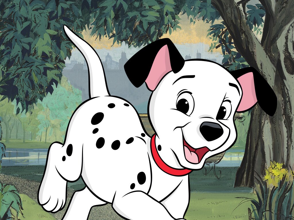 lucky_fc_dalmatians_s_72e716f1