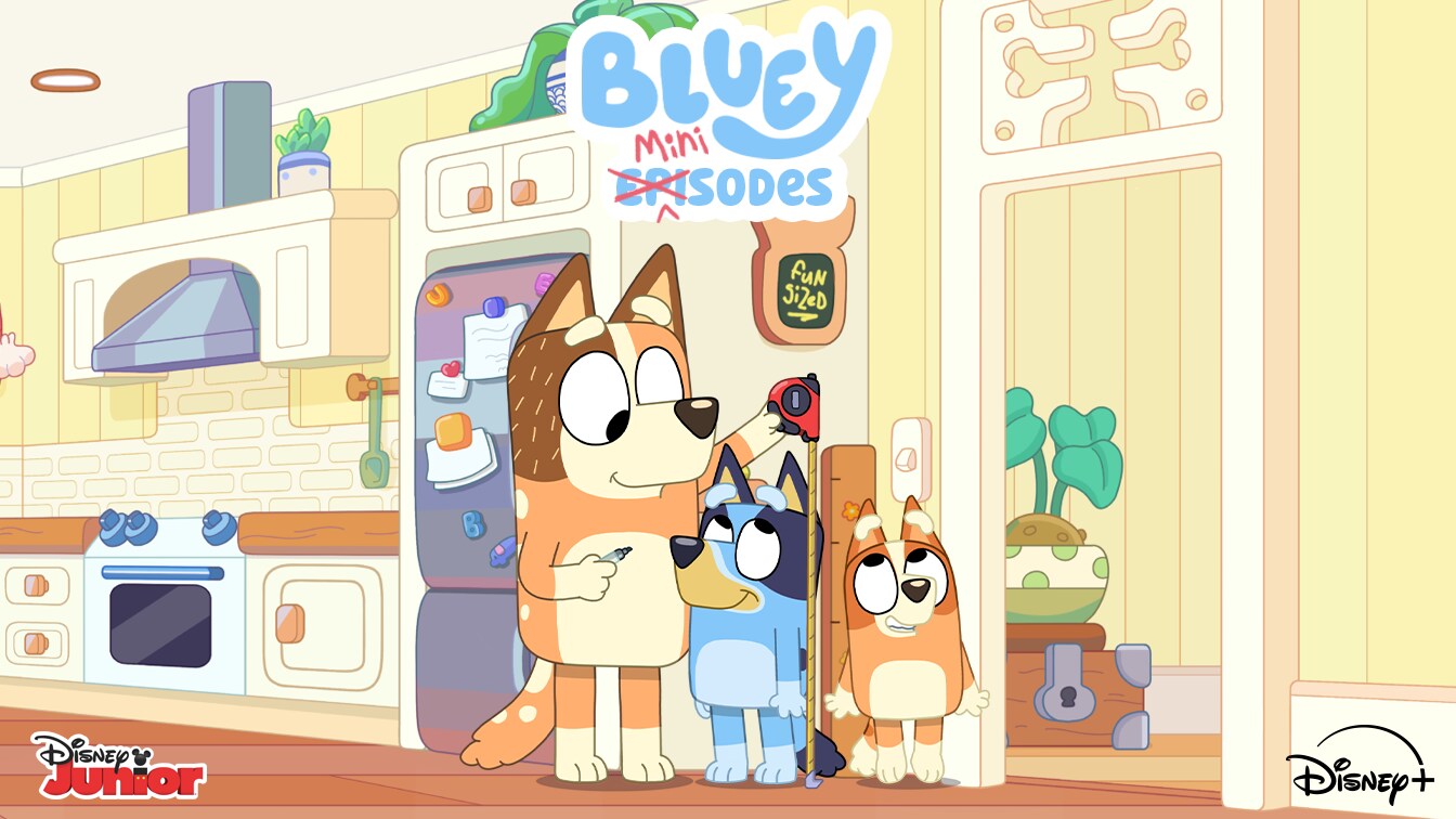 More Bluey On The Way!