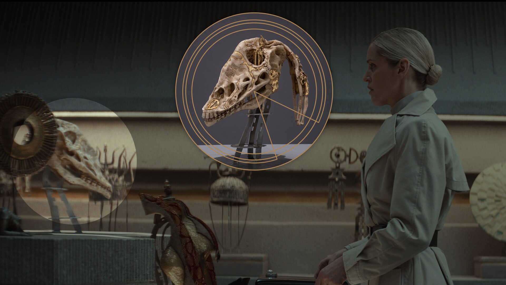 Decorative Gungan Skull in Luthen's Gallery.