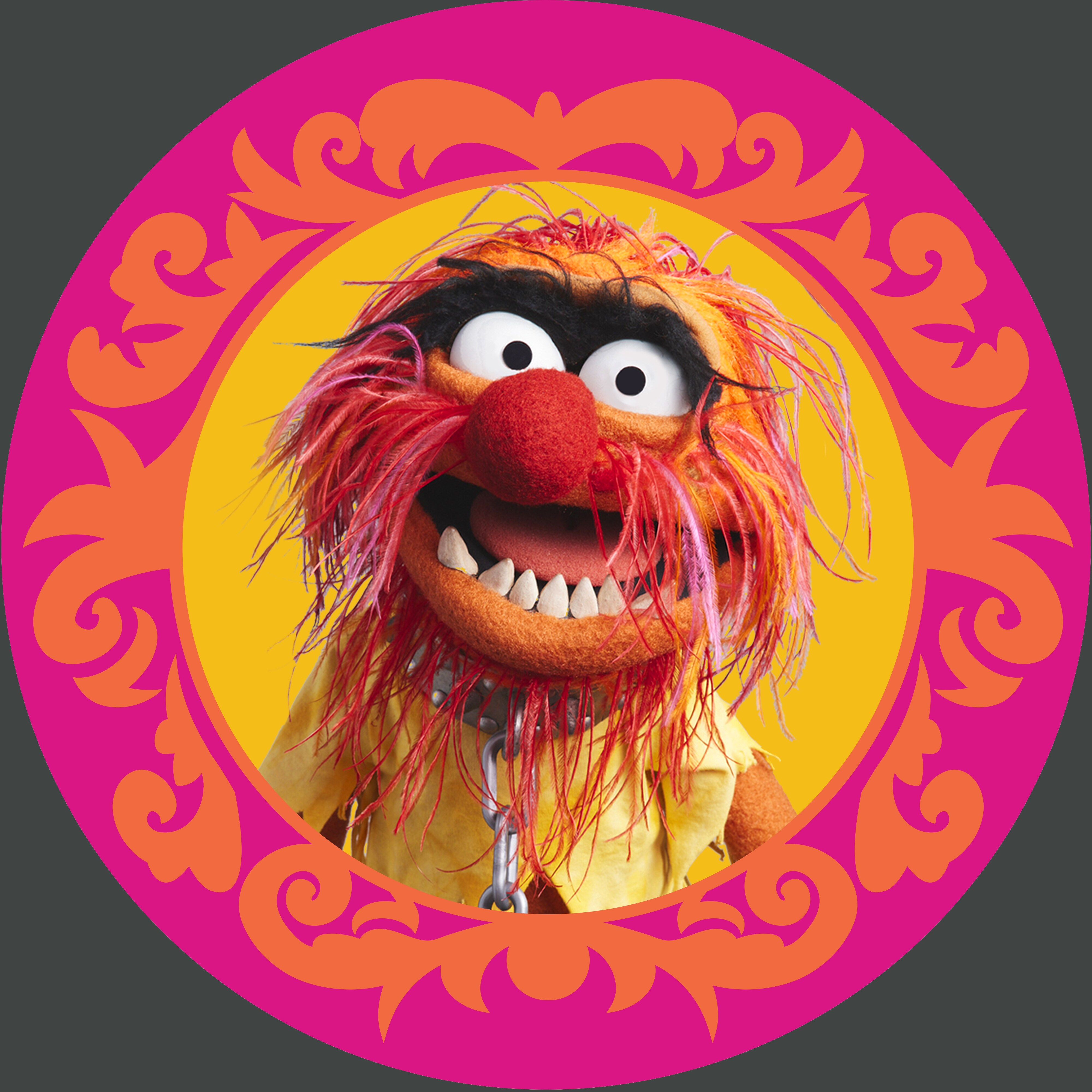 Photo of Animal of The Muppets.