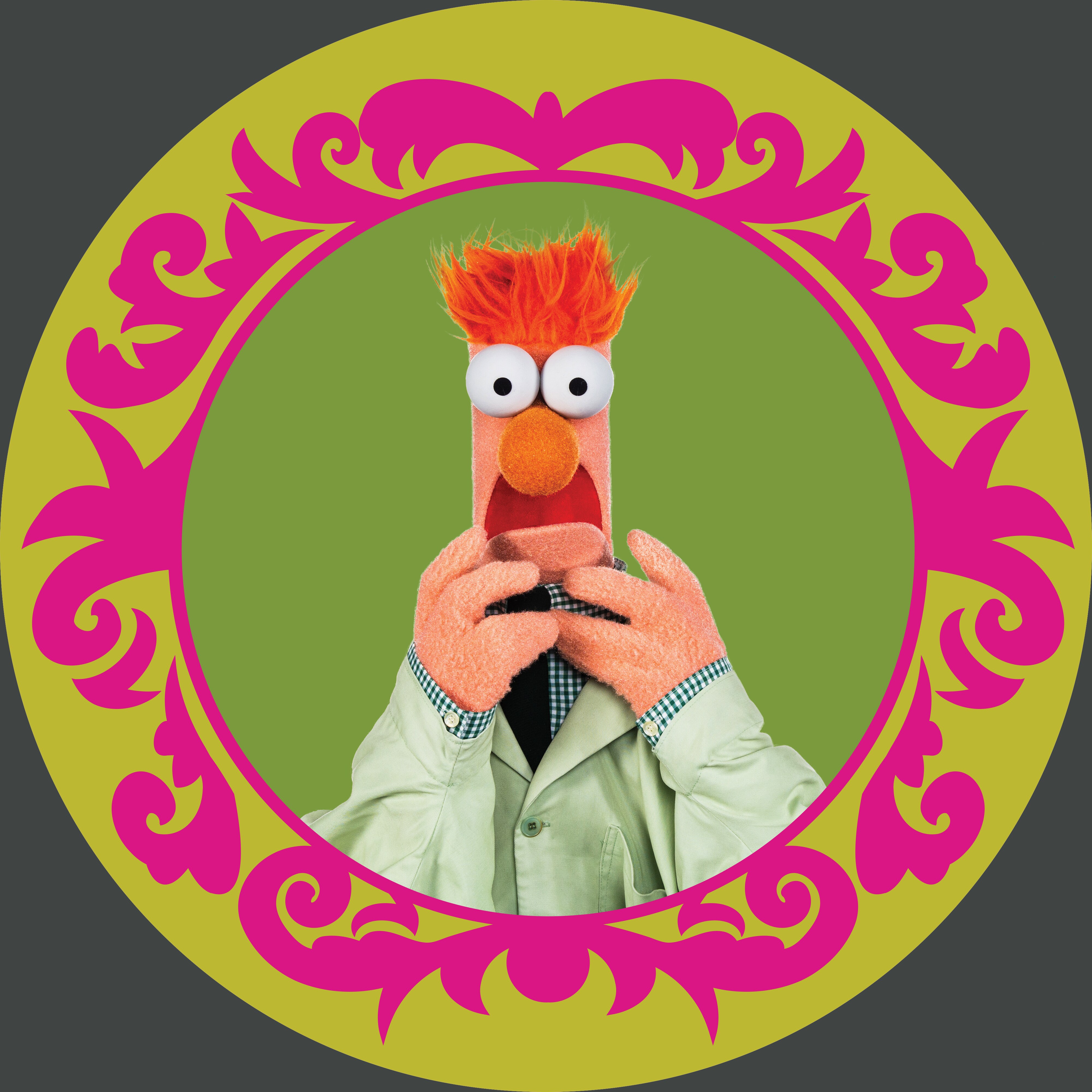 Photo of Beaker of The Muppets.
