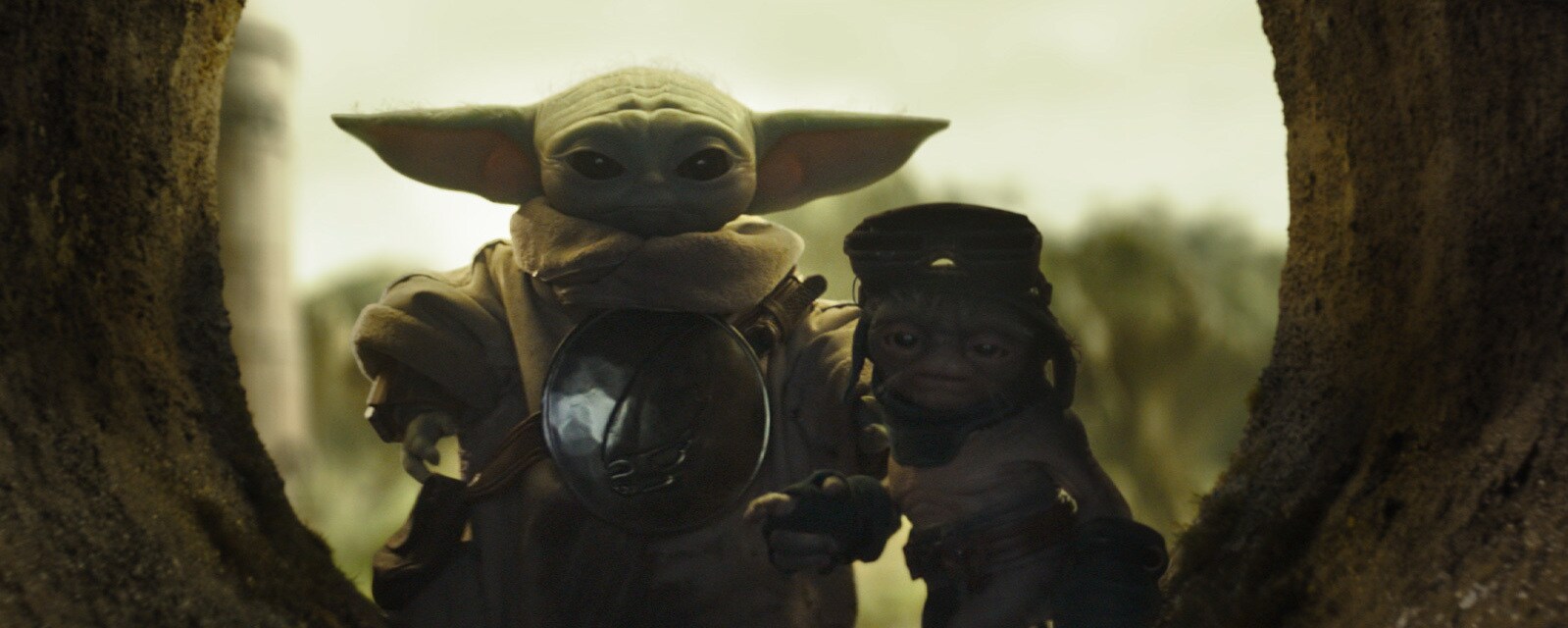 Poll: What’s Your Favorite Line from The Mandalorian and Grogu?
