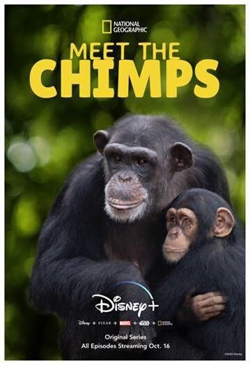 Meet the chimps poster