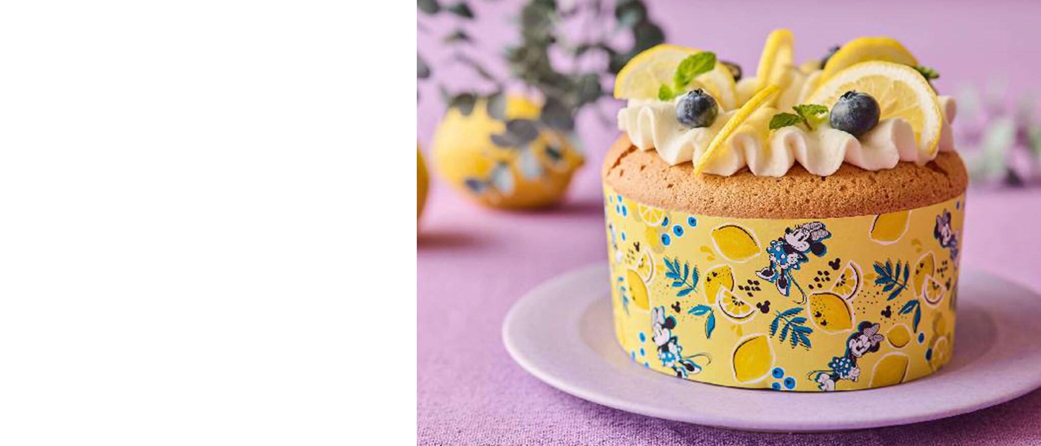 ABC Cookingはじめての方限定で550円体験レッスン！｜ディズニー パブリッシング