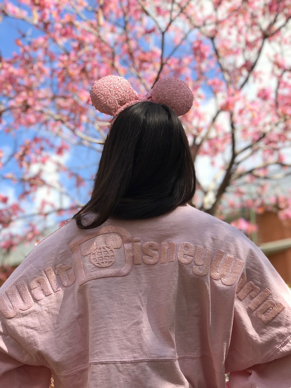 Millennial Pink Minnie Ears