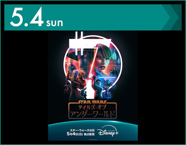 ヴァイス プレブ スターウォーズ STAR WARS N 4コン 水曜発送