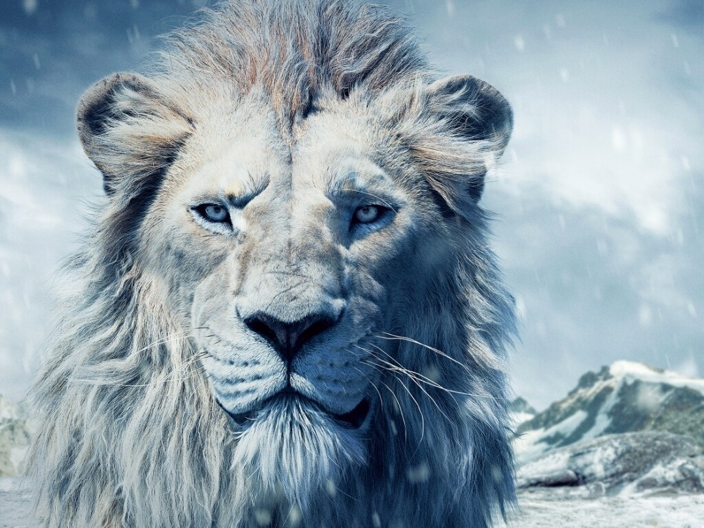 ムファサ様 カードリスト ｜ ヴァイスシュヴァルツ｜Weiβ Schwarz