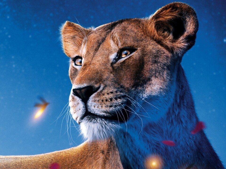 ライオンキング ムファサ 世界5枚限定 ディズニー ライオンキング ムファサ 世界5枚限定 ディズニー ライオンキング