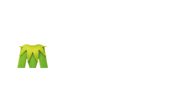 The Muppets (2011)