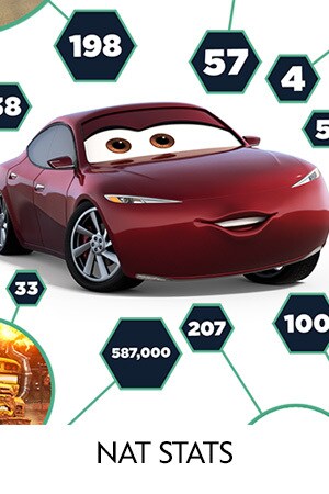 Cars 3 - Nat Stats