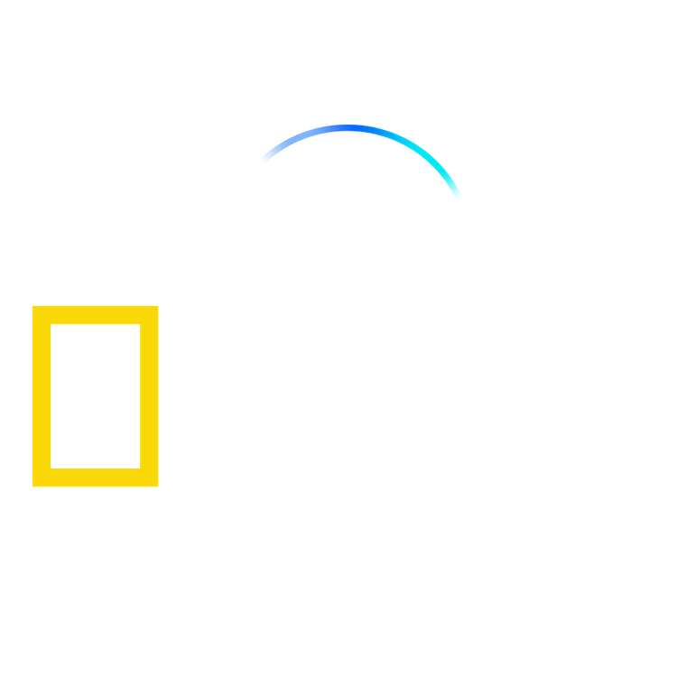 The Story Behind The National Geographic Logo Design