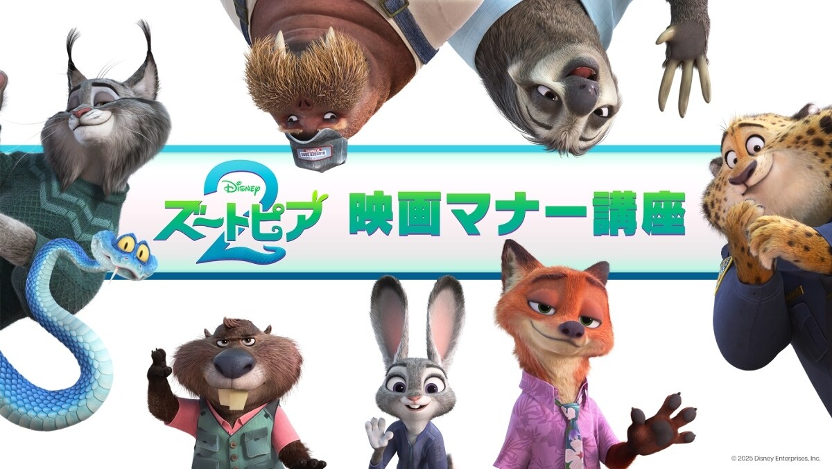 キャラファイングラフ ジュディ ニック フラッシュ（ Blu-ray DVD 無 キャラファイングラフ ジュディ ニック フラッシュ（ Blu-ray