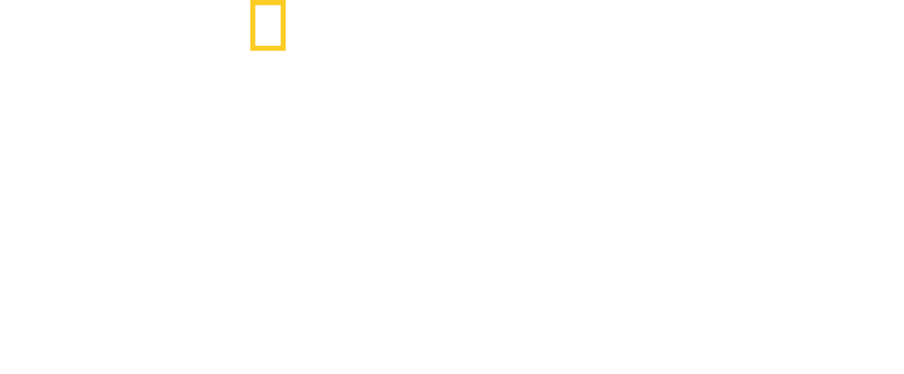 The Territory  National Geographic Documentary Films