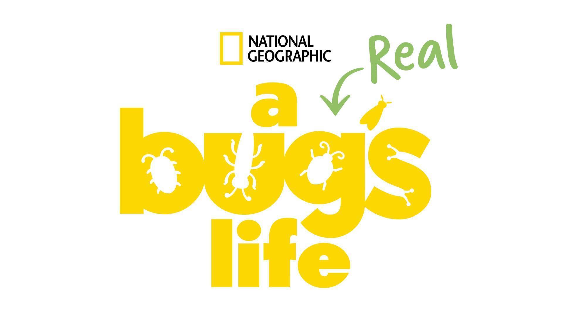 A Real Bug's Life - Black Logo 