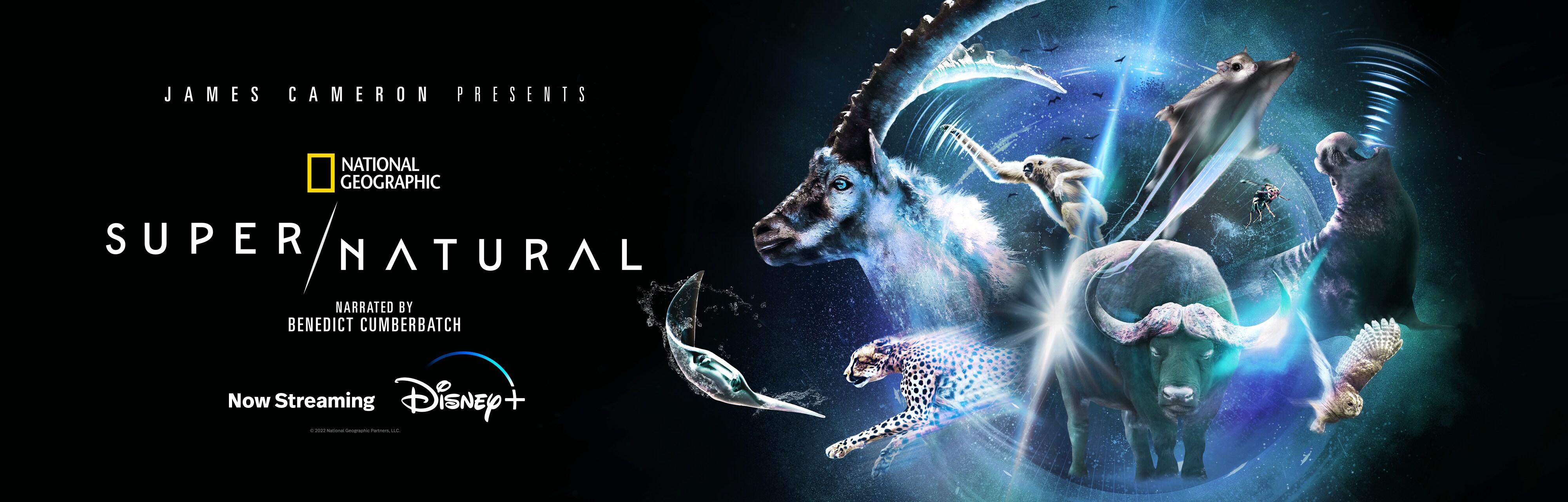 Animals emerge from a swirl of eery blue light on the poster for Super/Natural