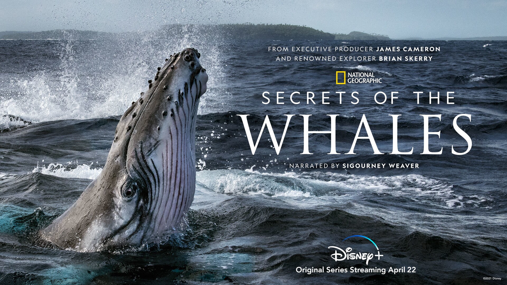 Secrets of the Whales Key Art - Horizontal