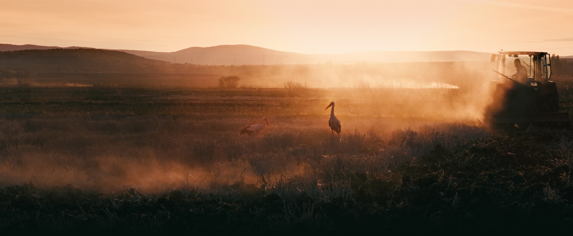 The Tale of Silyan - Hero - Film Page (No Gradient)