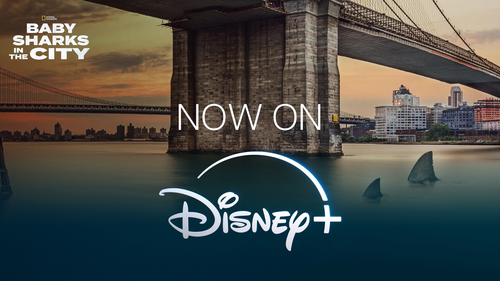 Disney+