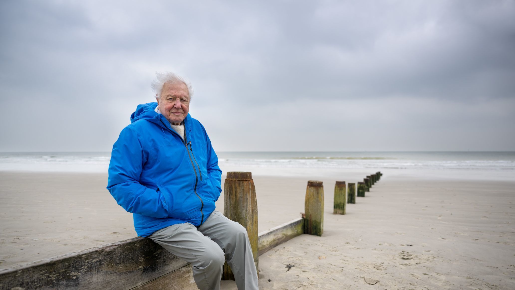 David Attenborough: Świat Oceanów