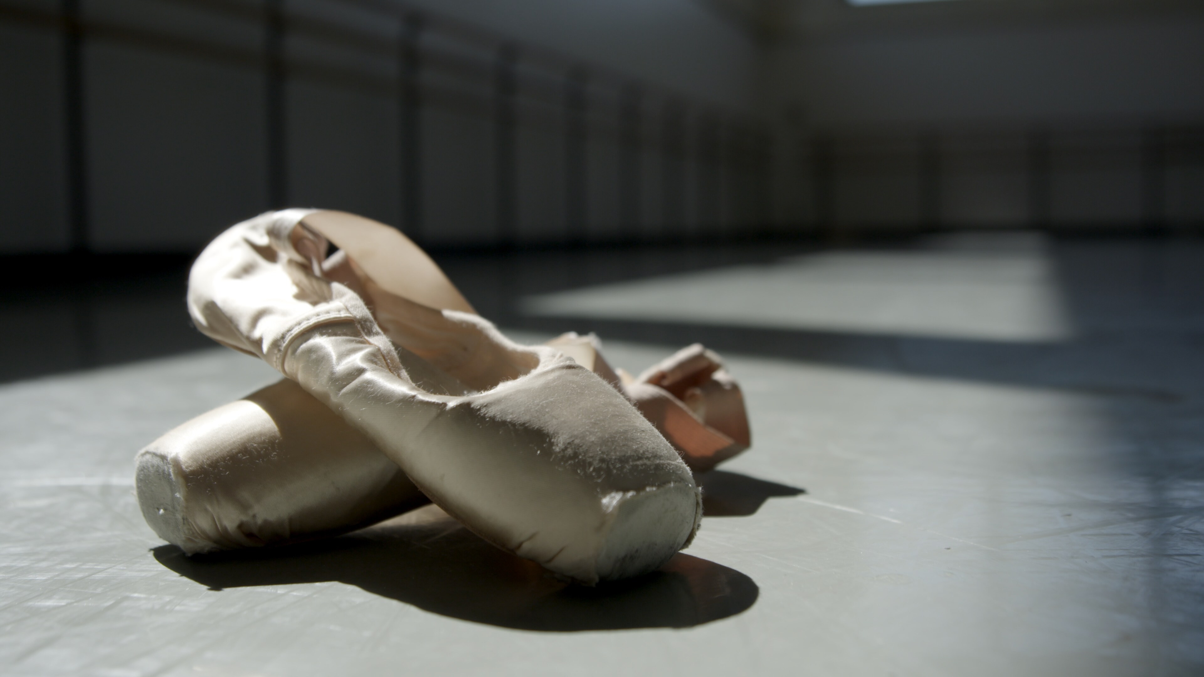 Pointe Shoes