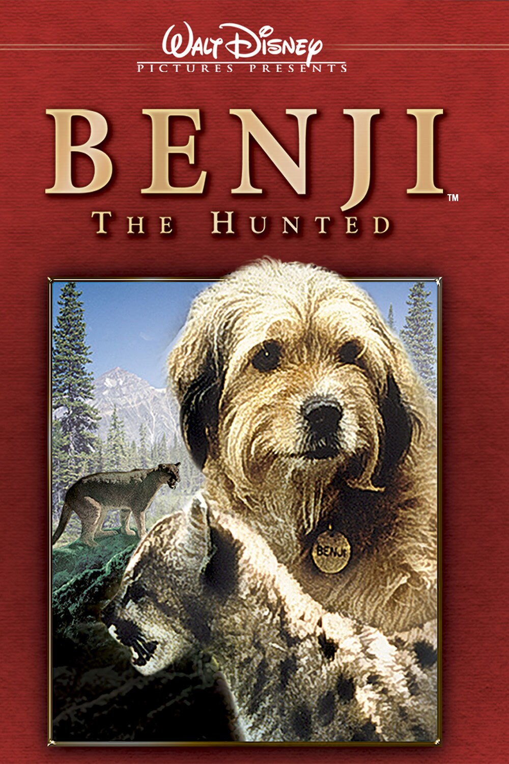 Disney Channel Dog Movies Disney Channel Dog Movies