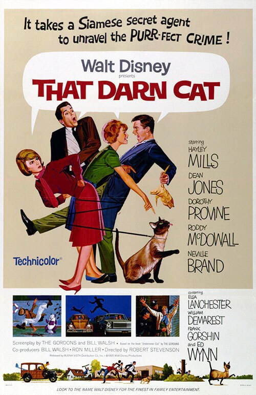 That Darn Cat (1965) | Disney Movies