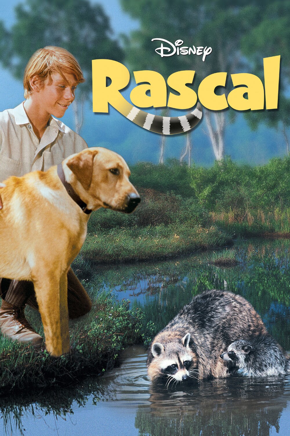 Rascal  Disney Movies