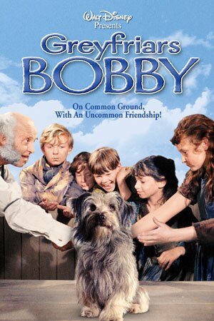one dog story soundtrack one dog story soundtrack