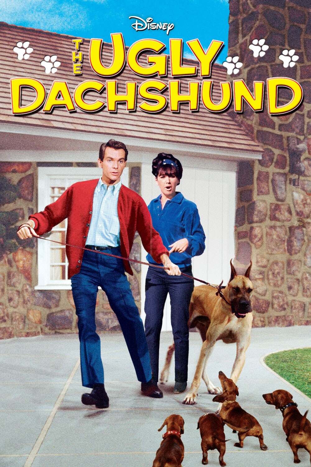 true instinct dry cat food