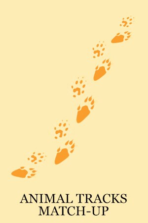 Tinker Bell and the Legend of the NeverBeast Activity - Animal Tracks Matchup