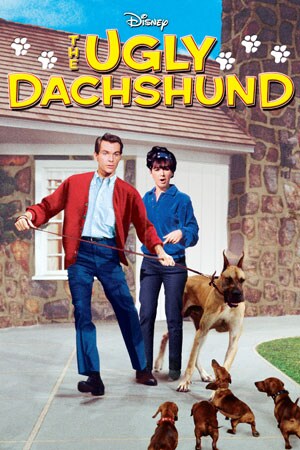 The Ugly Dachshund by G.B. Stern The Ugly Dachshund by G.B. Stern