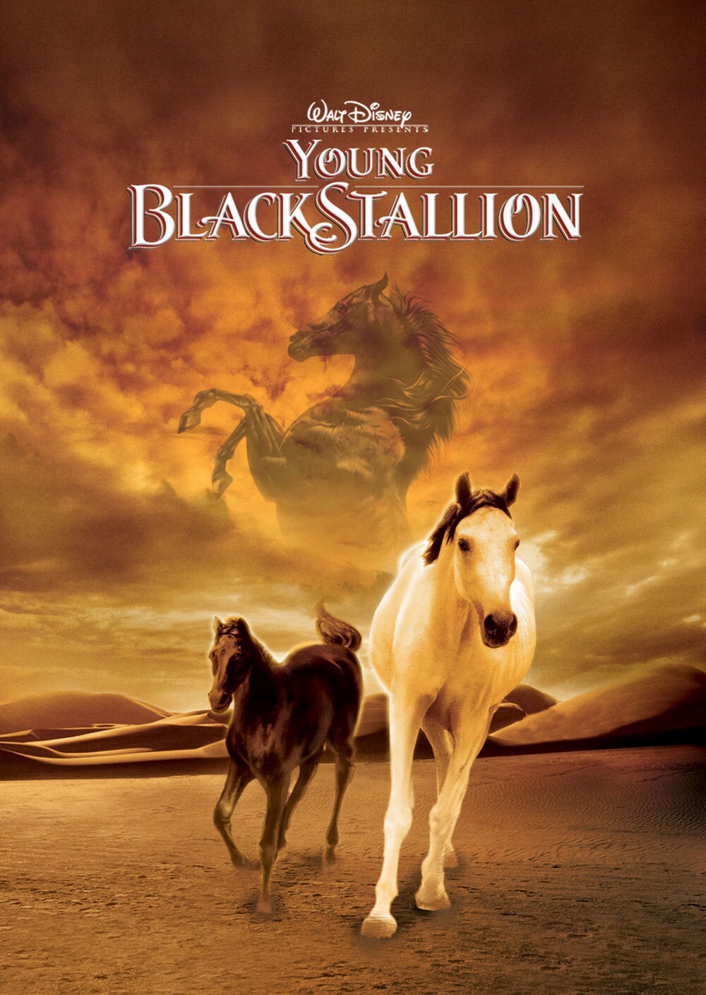 The Young Black Stallion Disney Movies