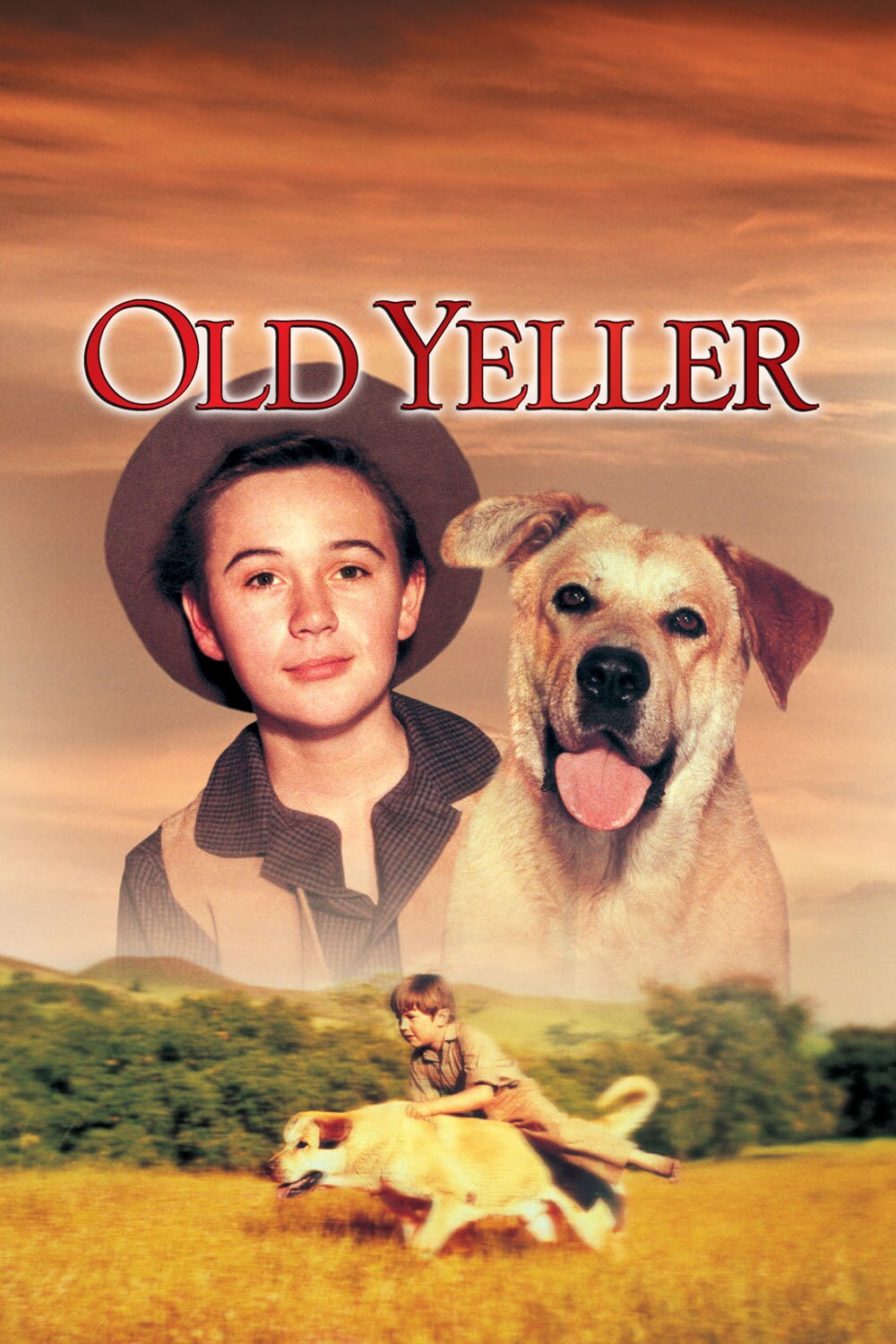 Image result for old yeller photos