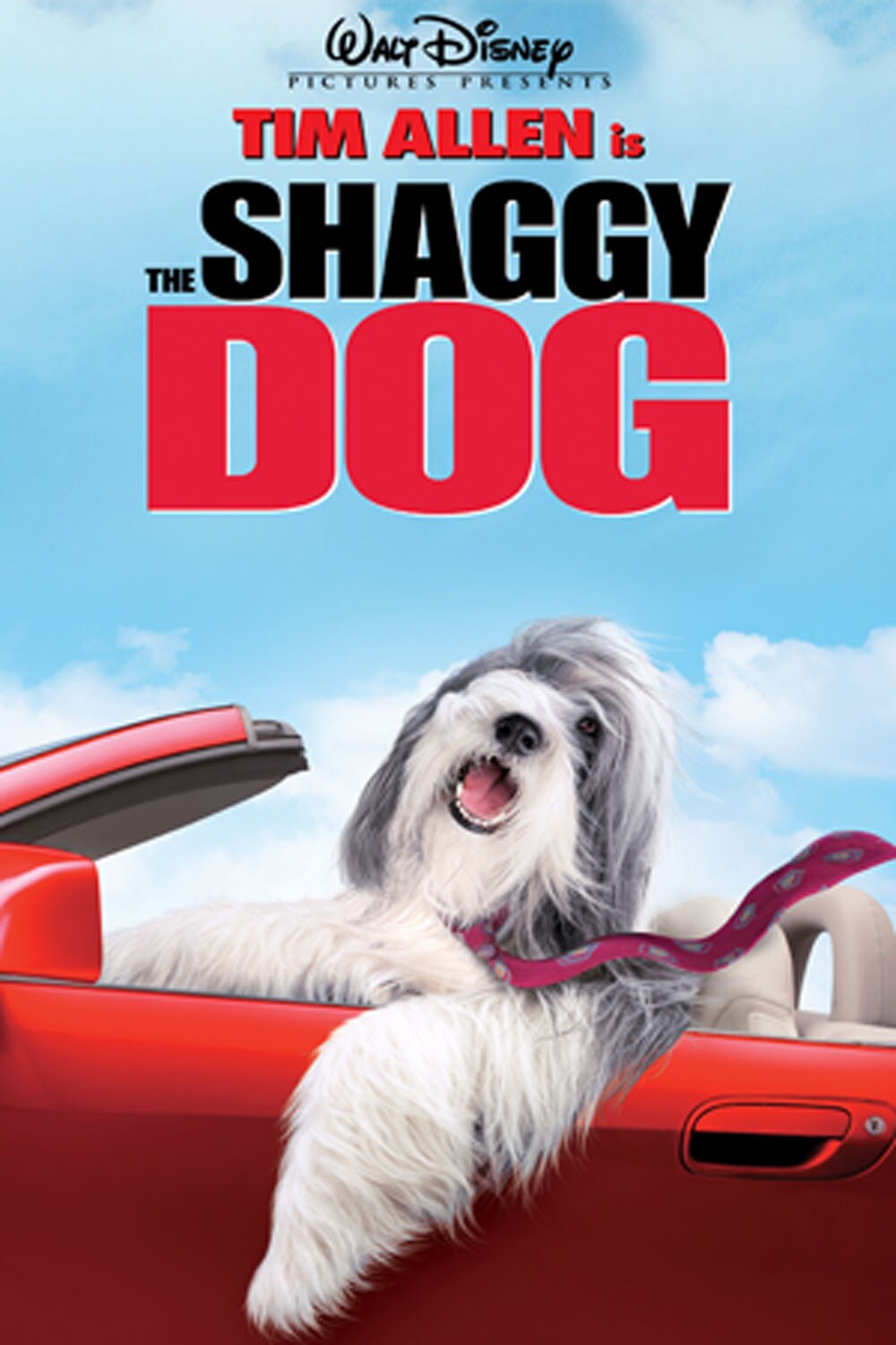 shaggy dog da